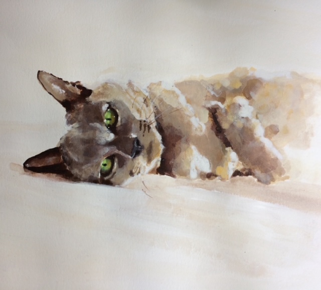 Pet Portraits and Landscape Paintings - Nuttall Art - Cat