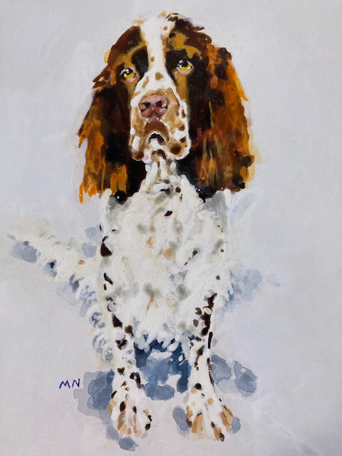 Pet Portraits and Landscape Paintings - Nuttall Art - Spaniel