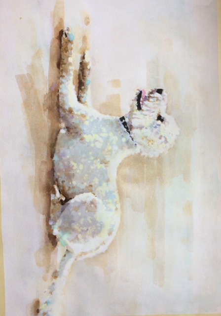 Pet Portraits and Landscape Paintings - Nuttall Art - Labradoodle