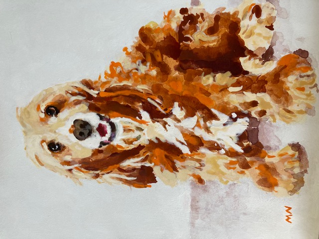 Pet Portraits and Landscape Paintings - Nuttall Art - Spaniel