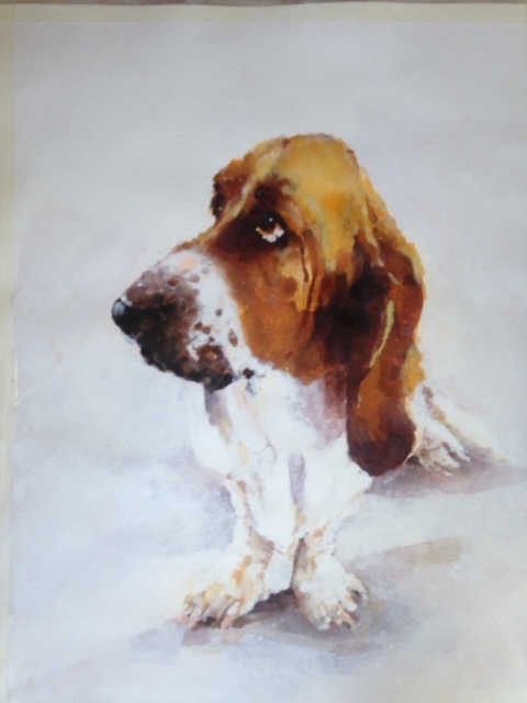 Pet Portraits and Landscape Paintings - Nuttall Art - Basset Hound